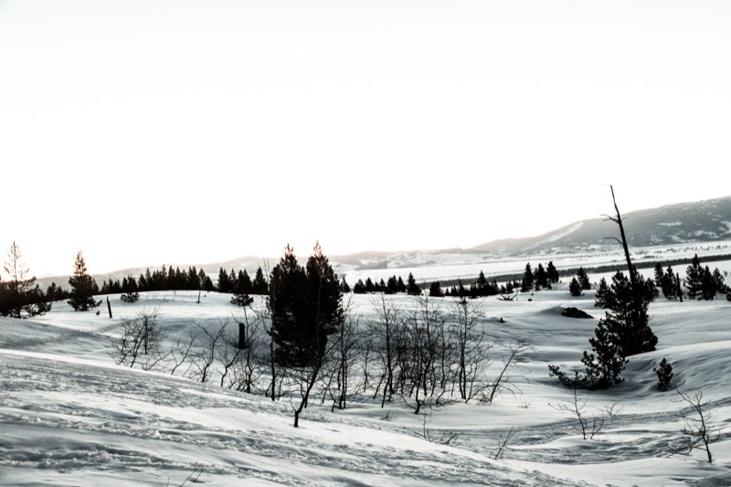 20150308-GC1A0174.jpg